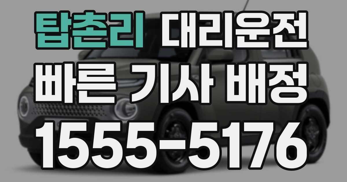일일대리기사