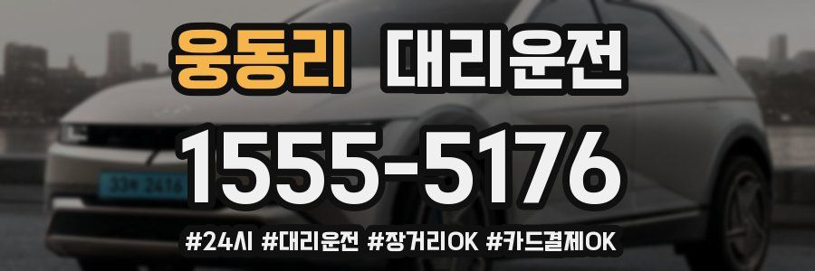 웅동리 대리운전