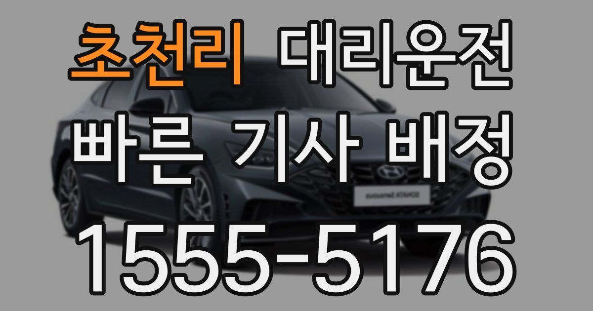 일일대리기사
