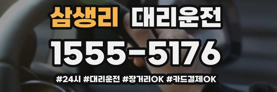 삼생리 대리운전