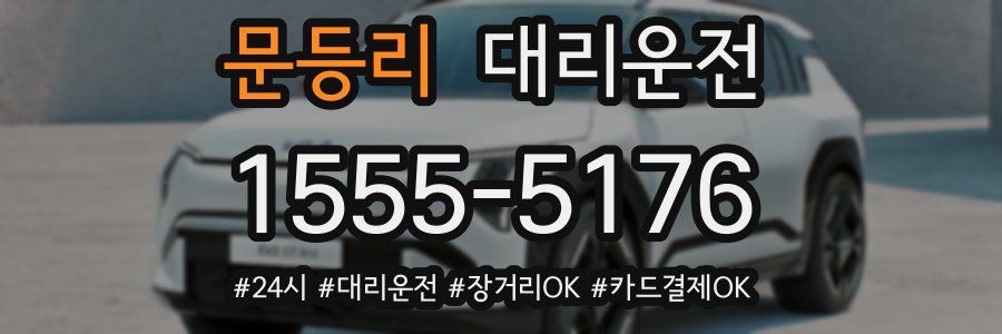 문등리 대리운전