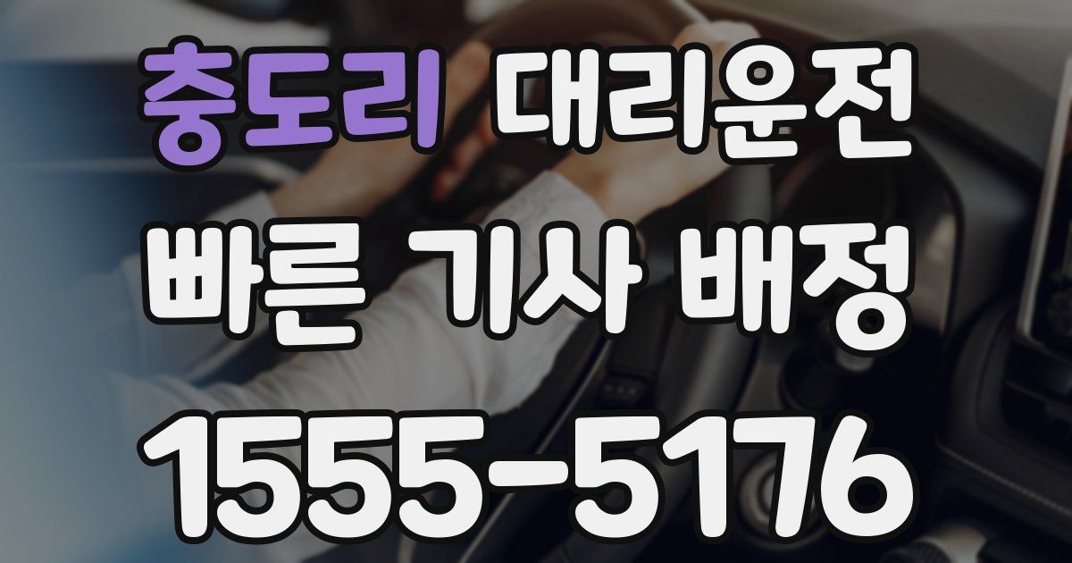 일일대리기사