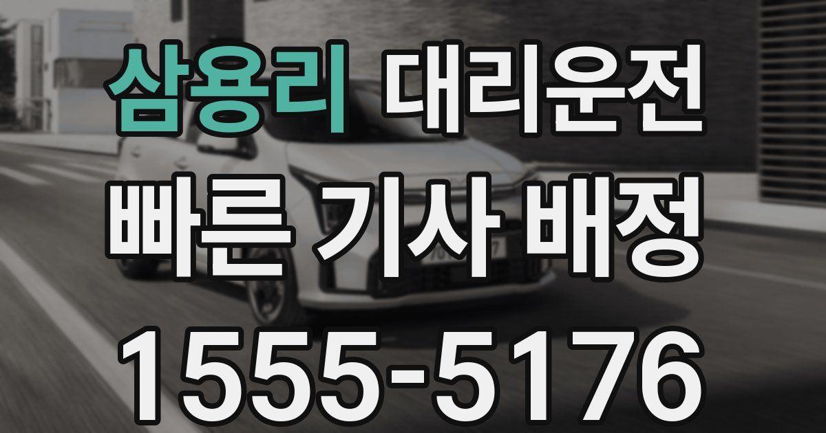 일일대리기사
