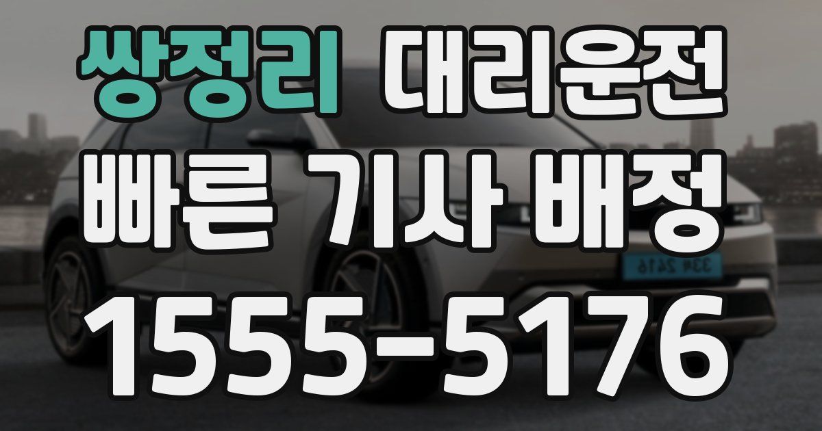 일일대리기사