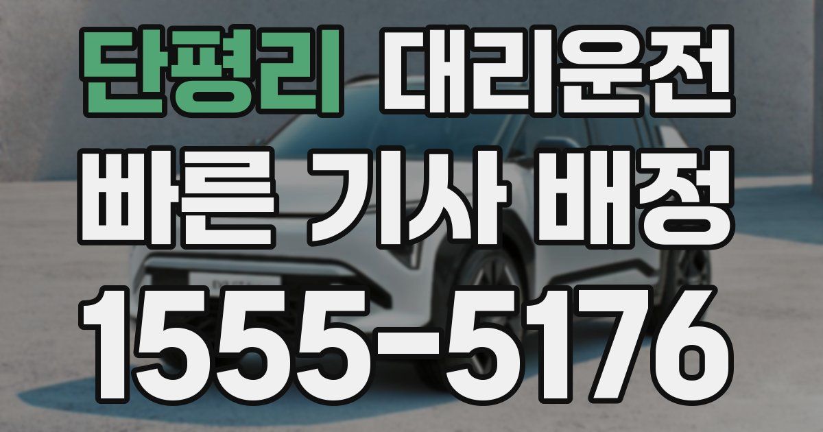 일일대리기사