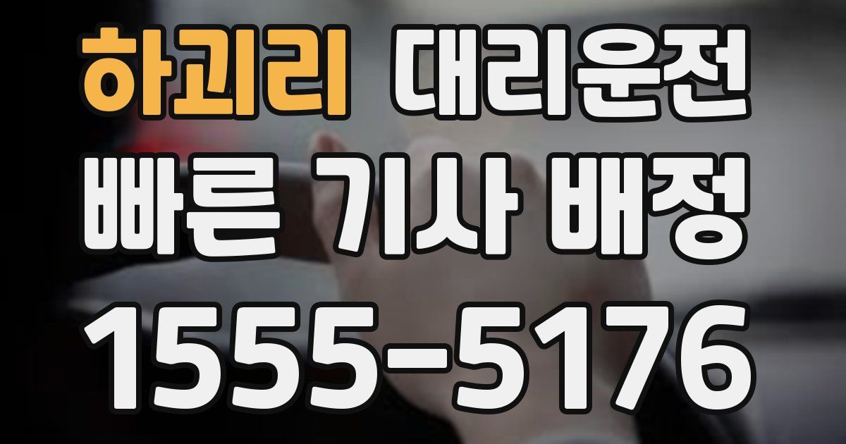 일일대리기사