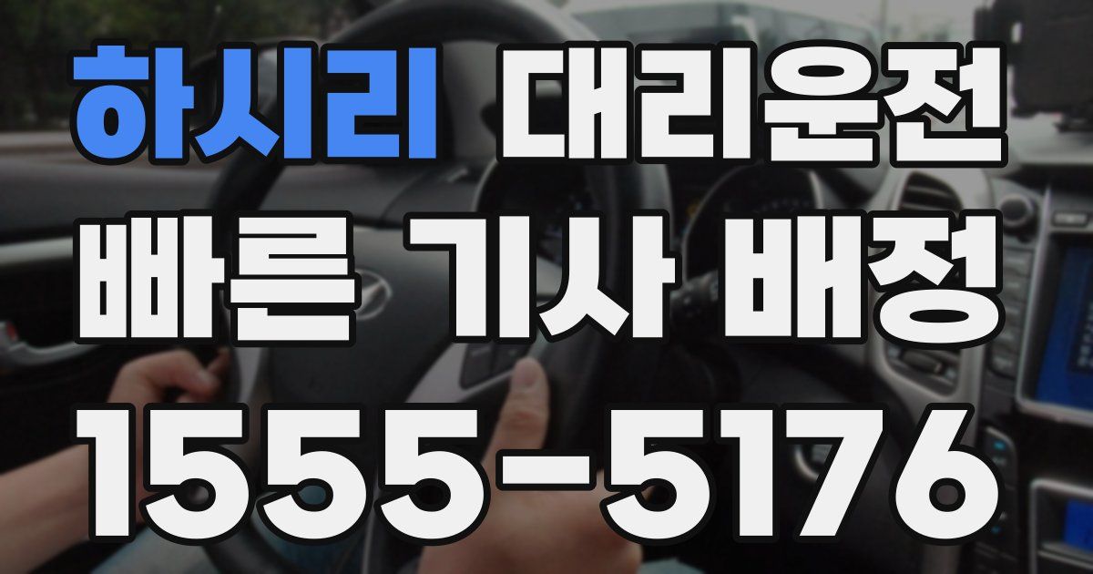 일일대리기사