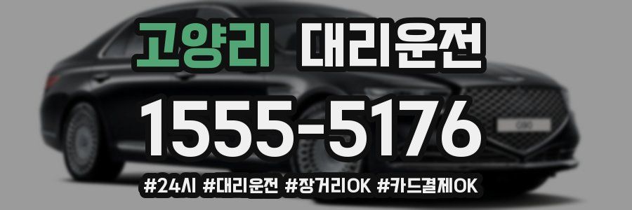 고양리 대리운전