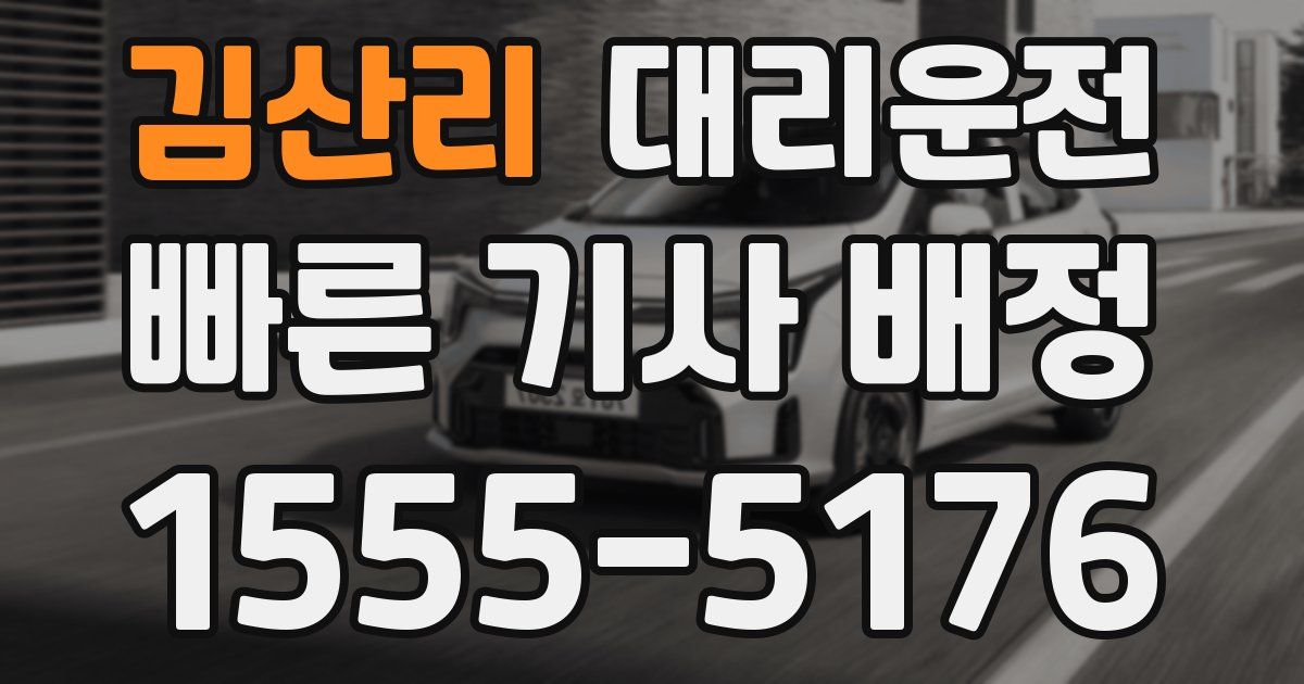 일일대리기사