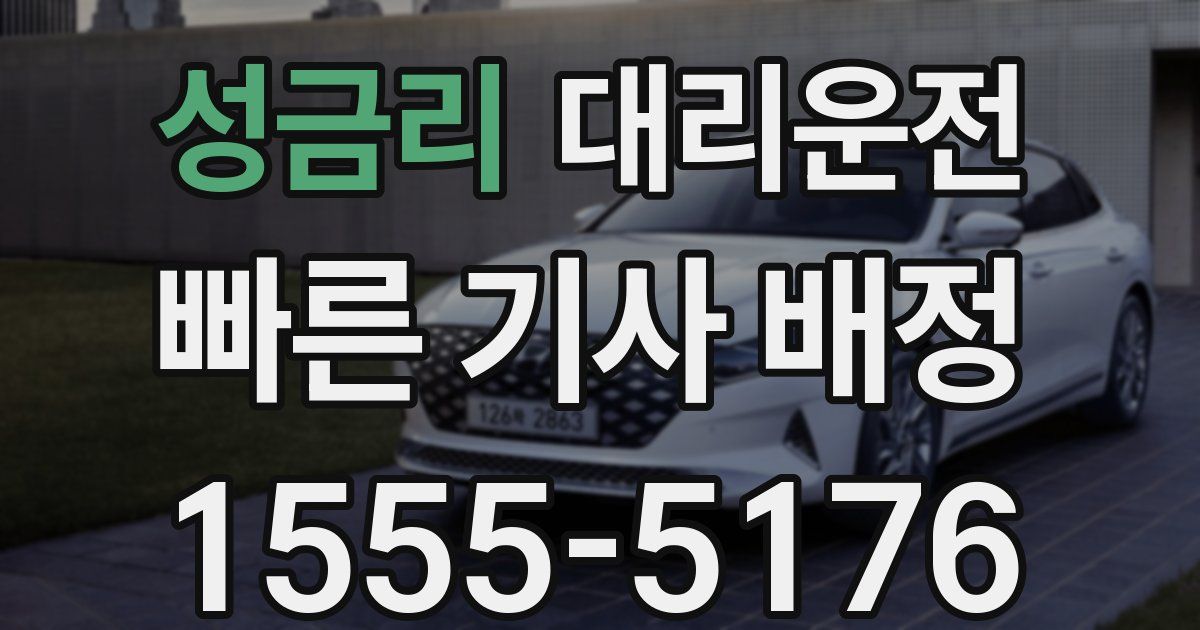 일일대리기사
