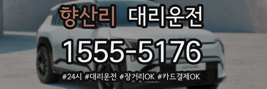 향산리 대리운전