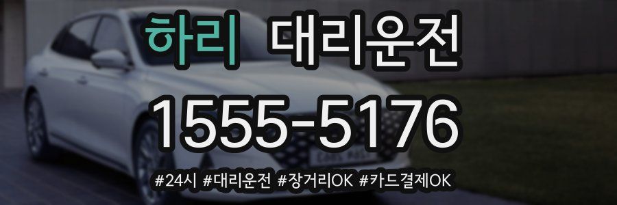 하리 대리운전