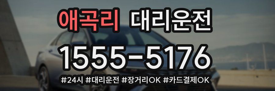 애곡리 대리운전