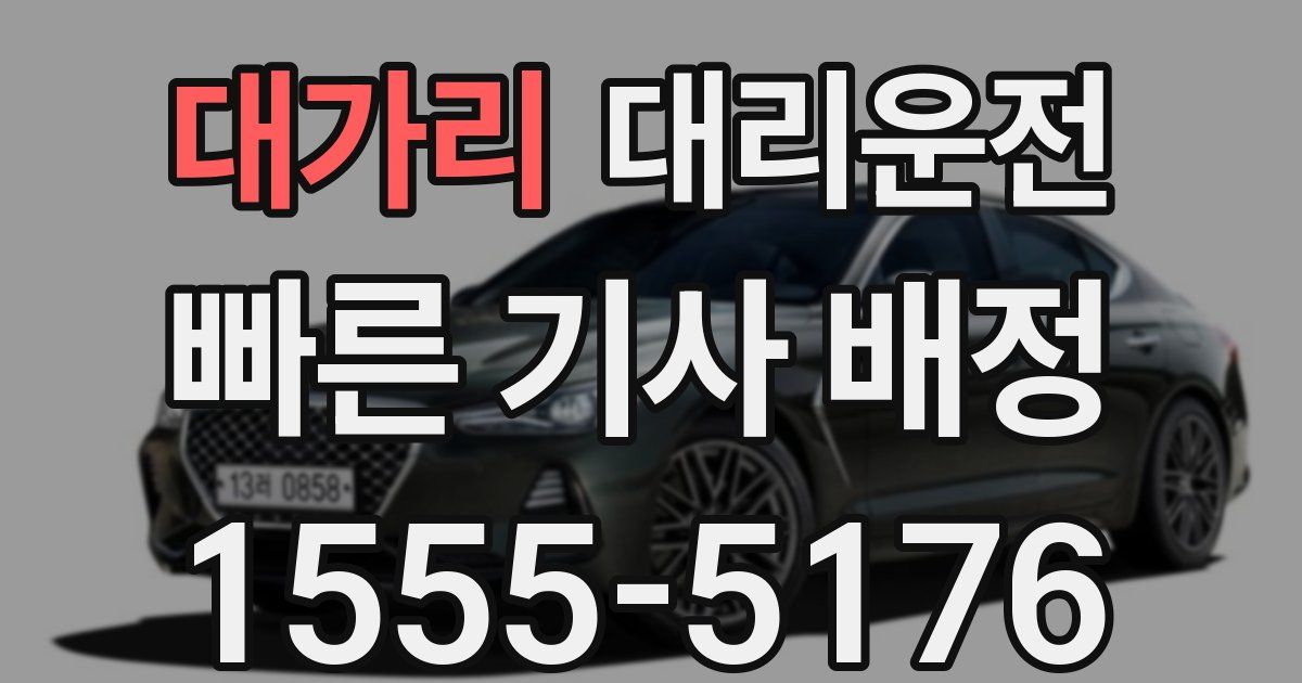 일일대리기사