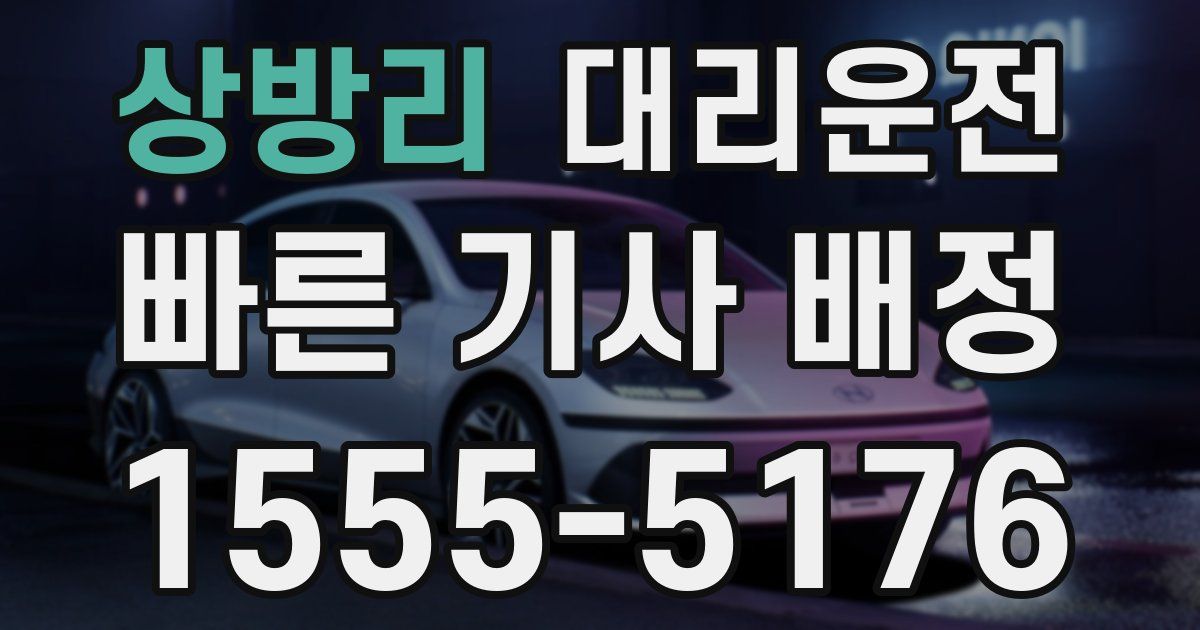 일일대리기사