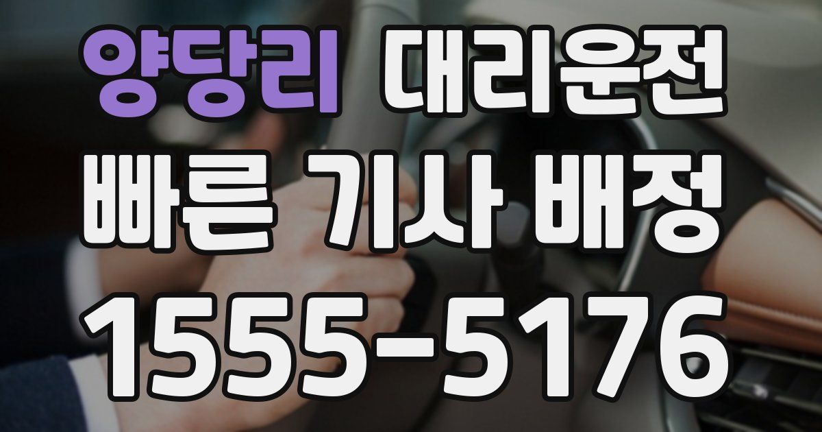 일일대리기사