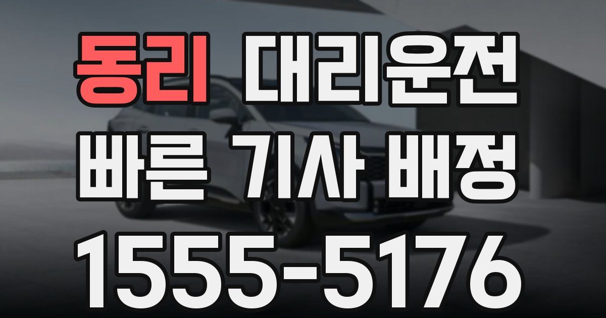 일일대리기사