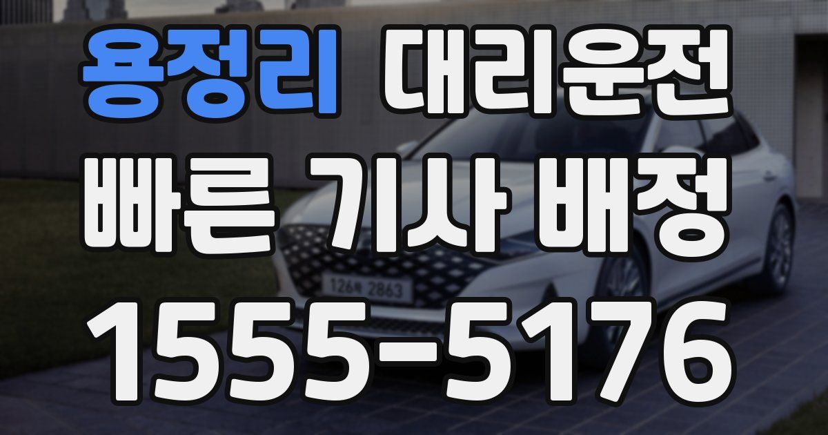일일대리기사