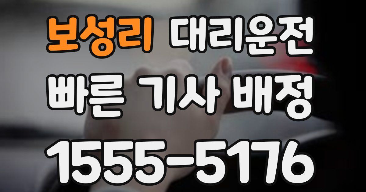 일일대리기사