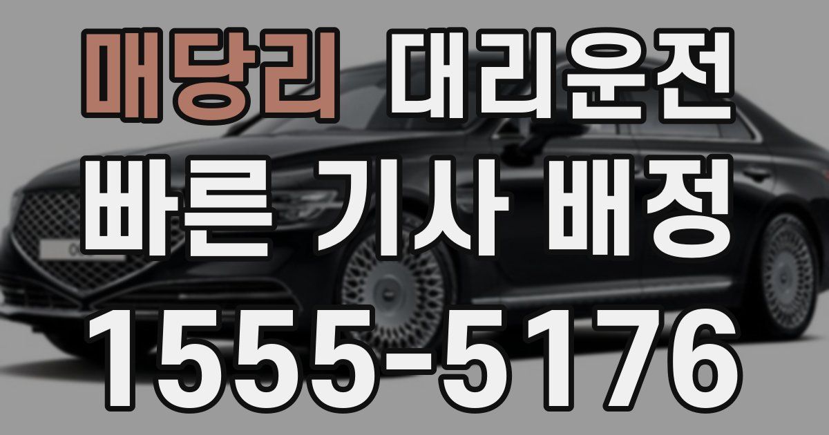일일대리기사