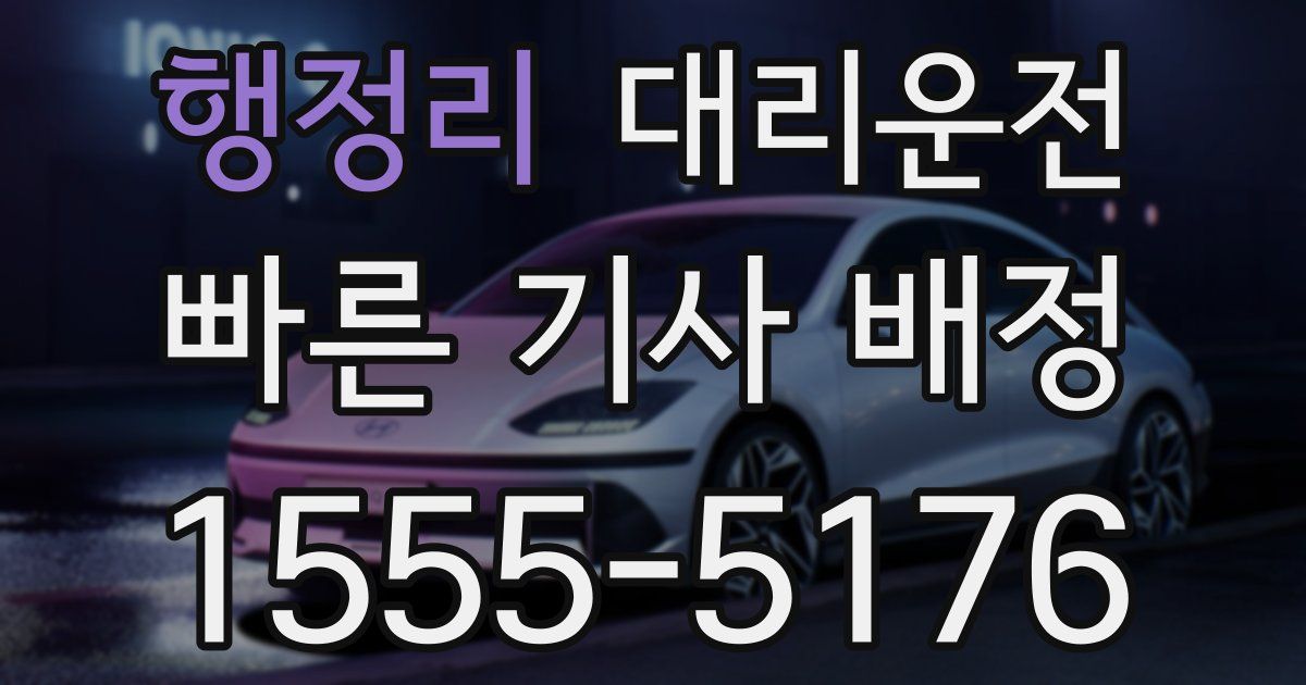 일일대리기사