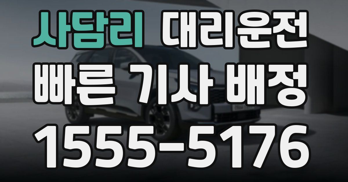 일일대리기사