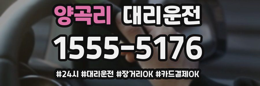 양곡리 대리운전