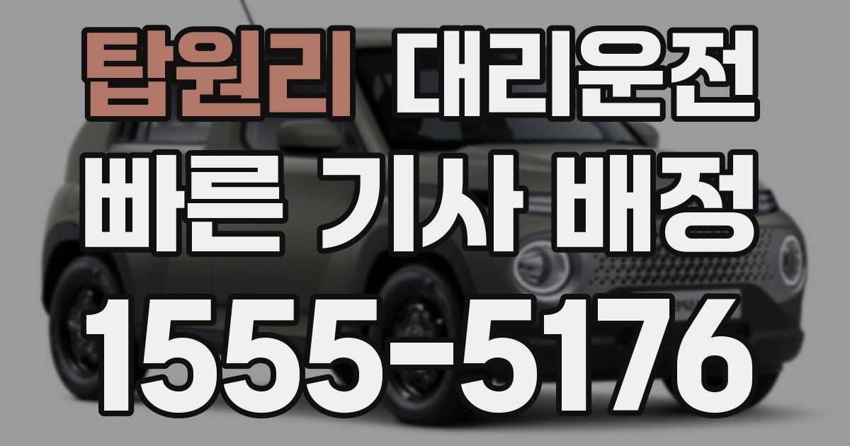 일일대리기사
