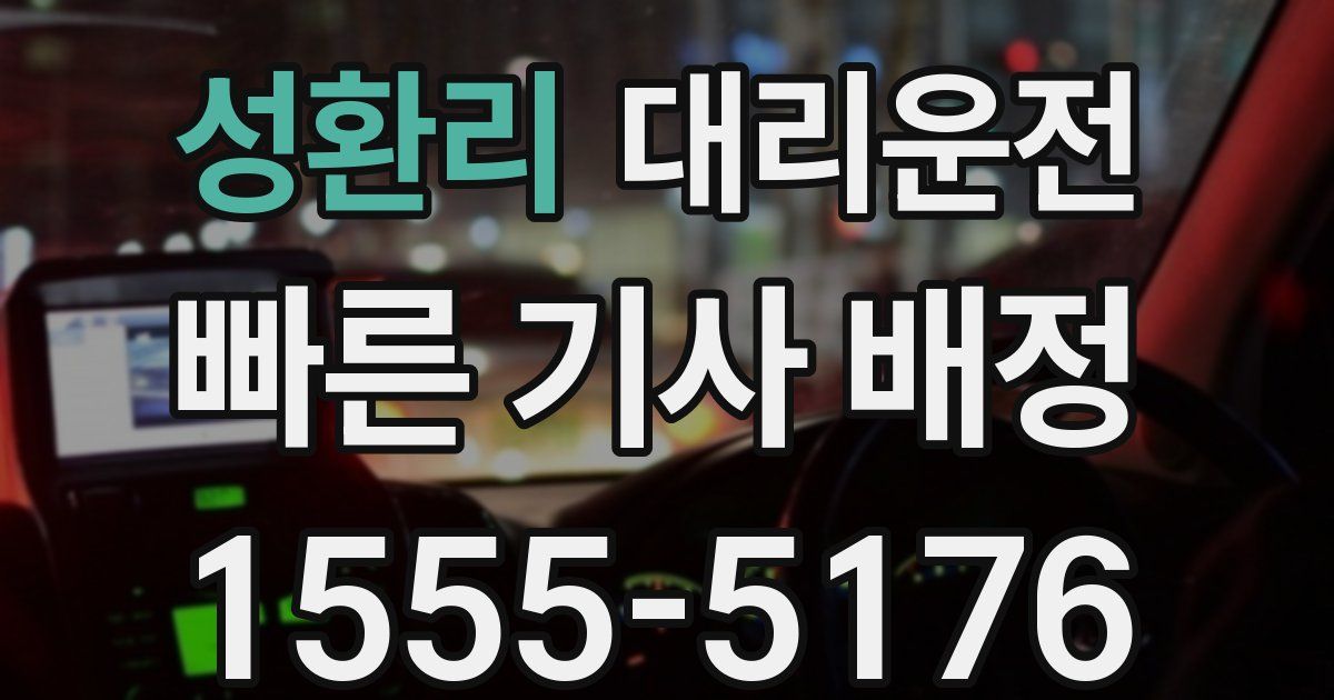 일일대리기사