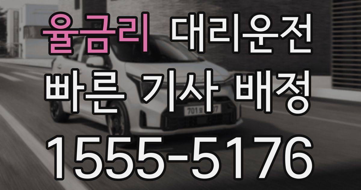 일일대리기사