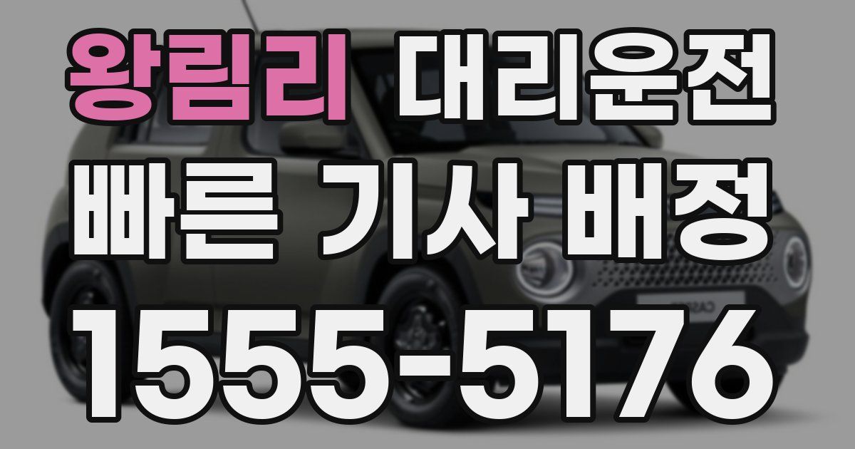 일일대리기사