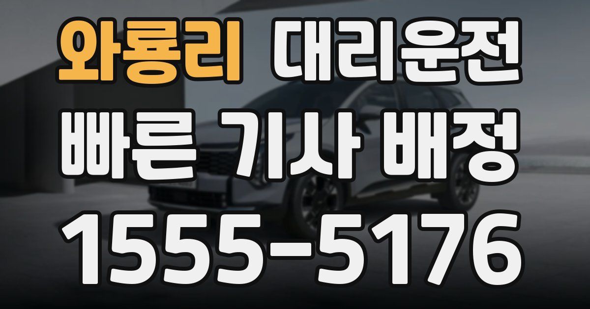 일일대리기사