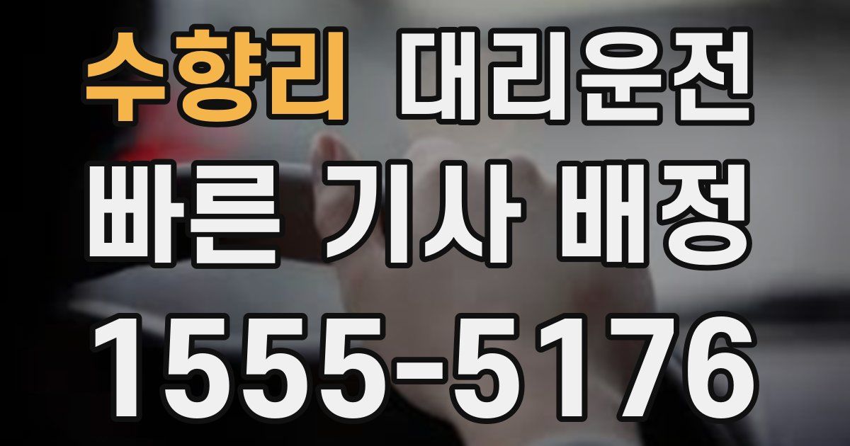 일일대리기사