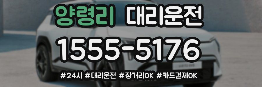 양령리 대리운전