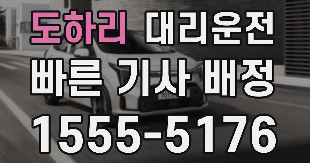 일일대리기사