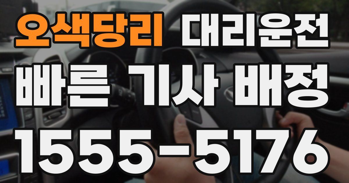 일일대리기사