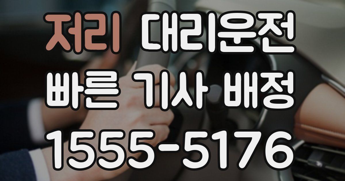 일일대리기사
