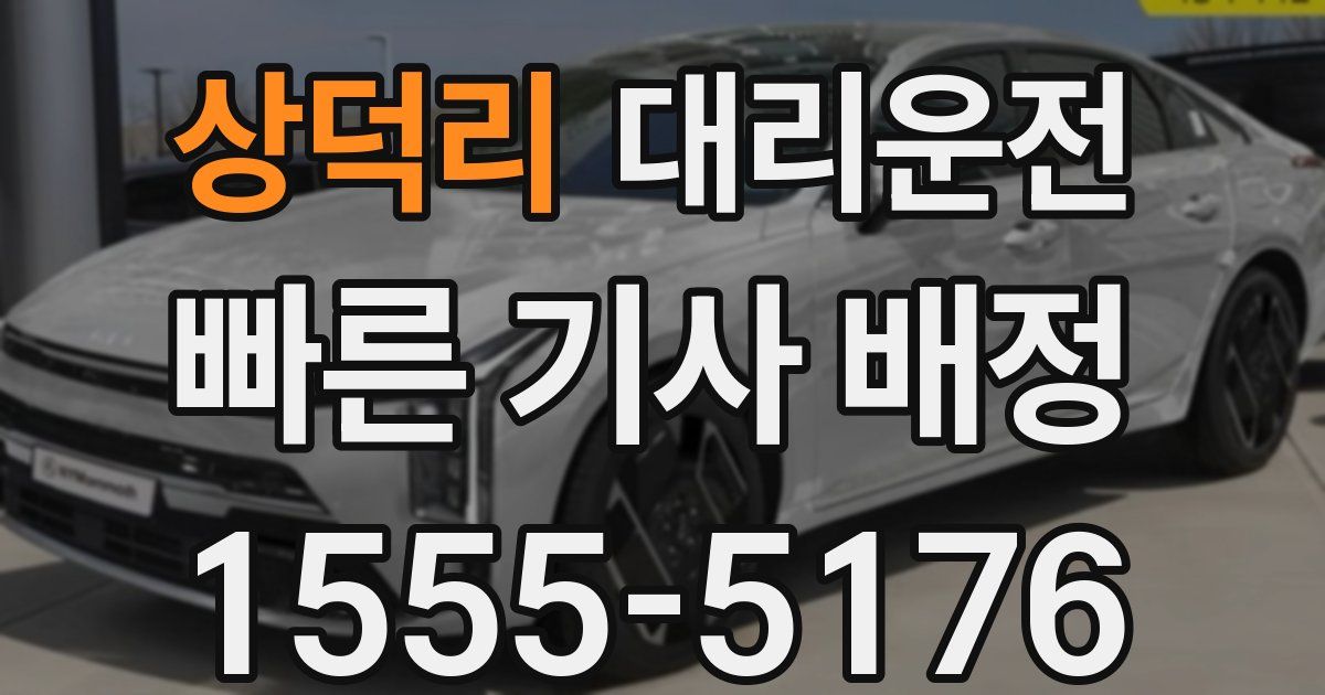 일일대리기사