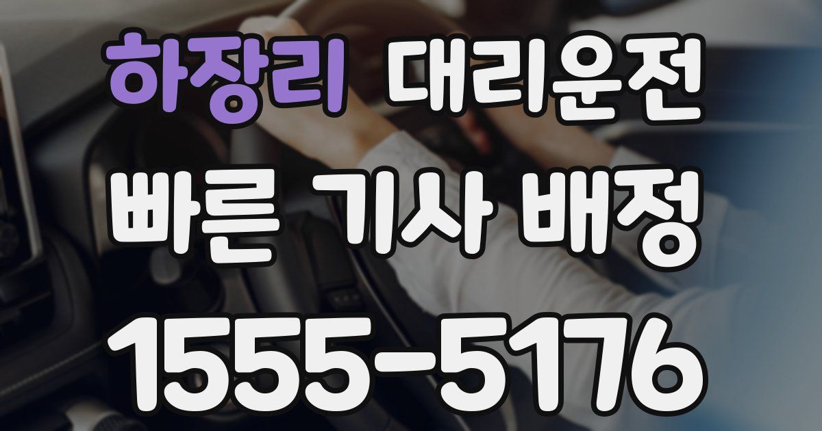 일일대리기사