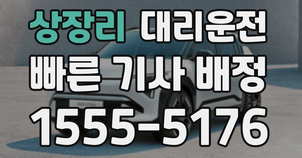 일일대리기사