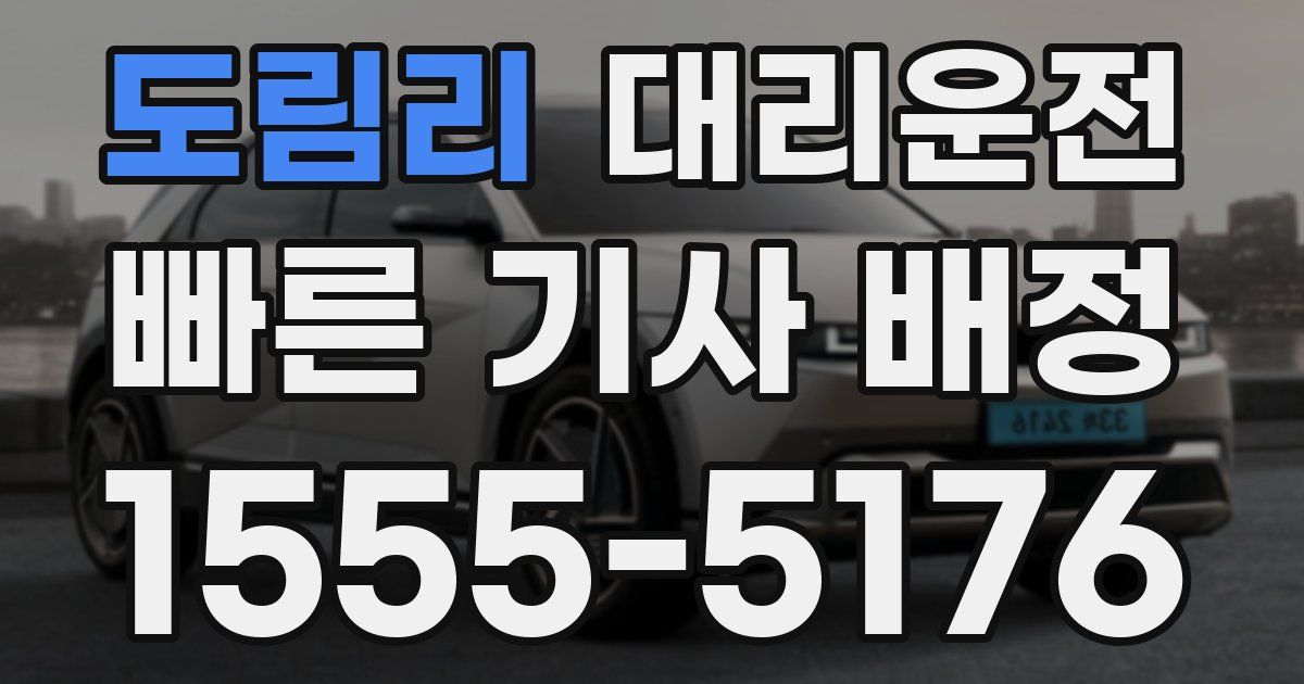 일일대리기사