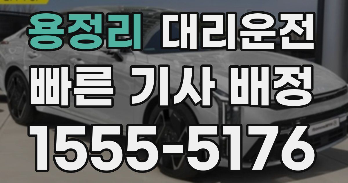 일일대리기사