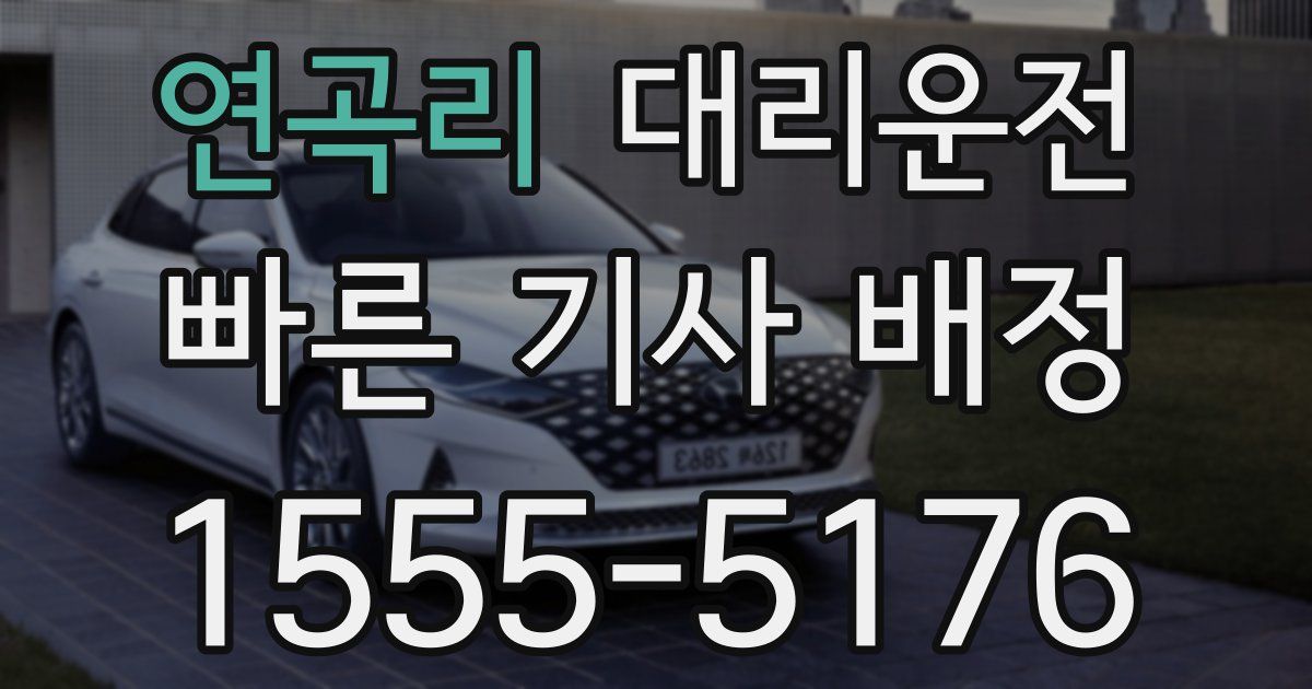 일일대리기사