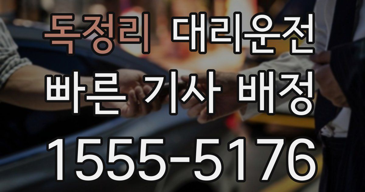 일일대리기사