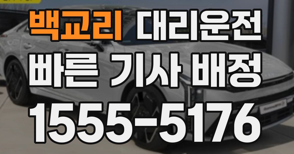 일일대리기사