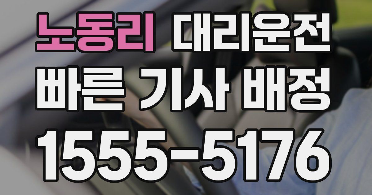 일일대리기사