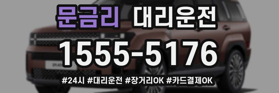 문금리 대리운전