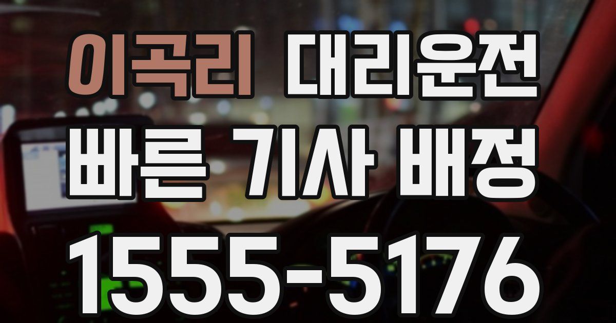 일일대리기사