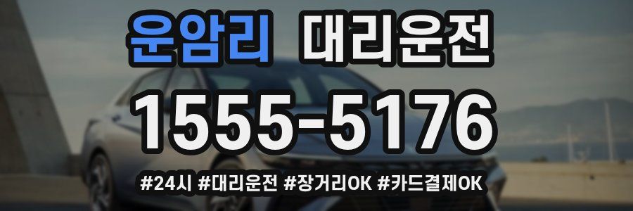 운암리 대리운전