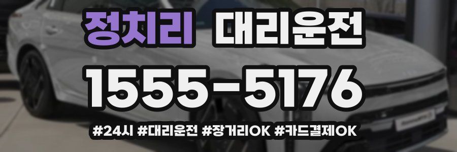 정치리 대리운전